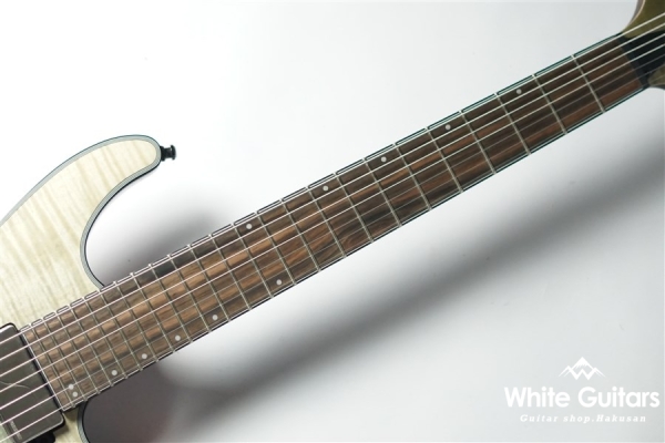 Axion Label S71AL-BML